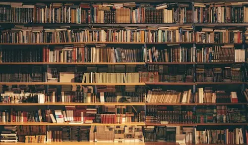 Kitap okuyan bir okur