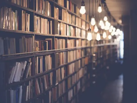 Uzun kitap rafları